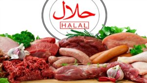 what is halal meat